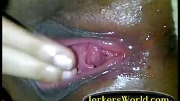 ఏజెంట్ ఫక్ తెలుగు సెక్స్ వీడియో తెలుగు తెలుగు స్పీడ్ పోర్న్